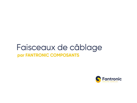 Visuel_actualité_Faiceaux_de_cablage